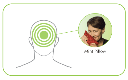 Sinus Relief Mint Pillow